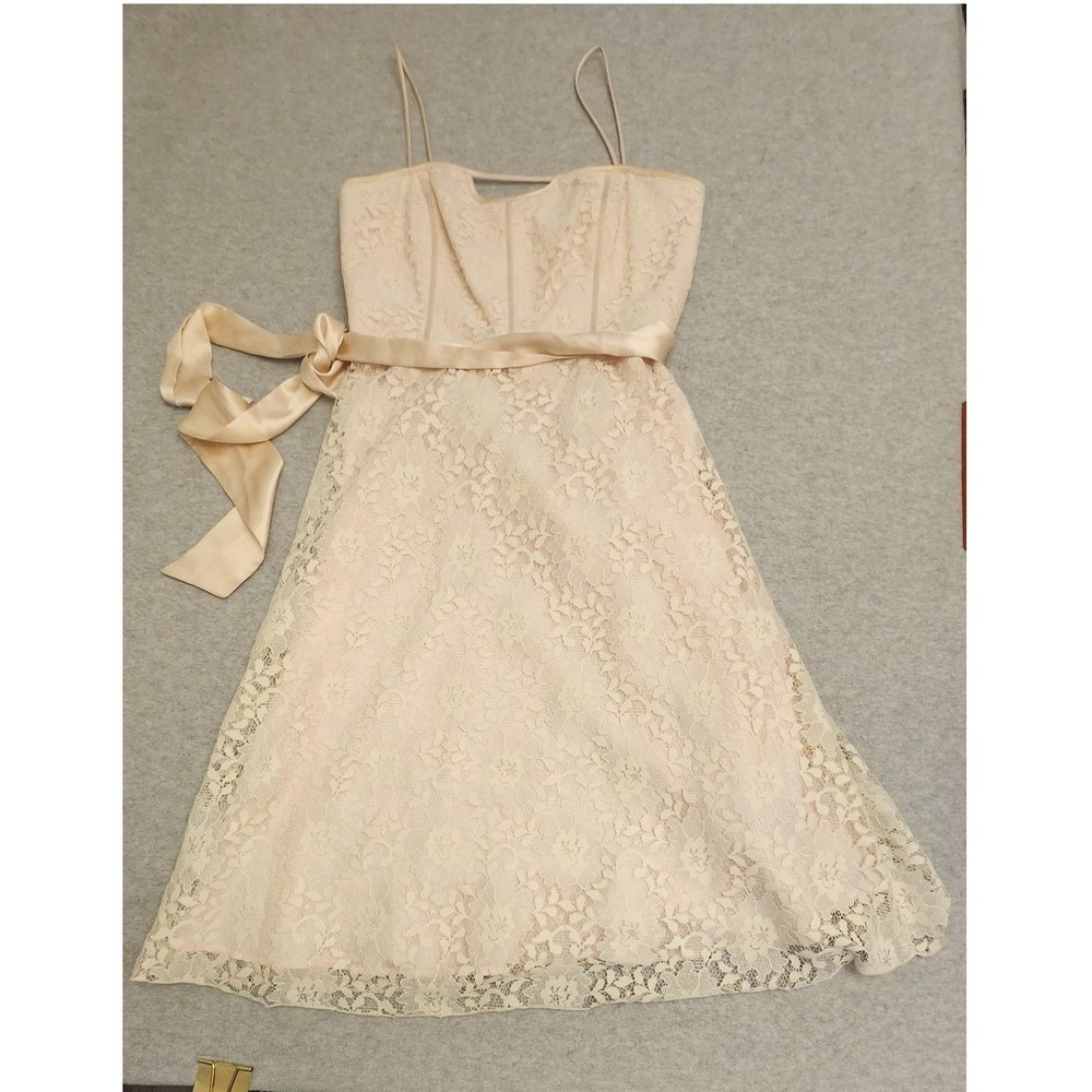 Laundry by Shelli Segal Dress Womens 6 Blush Lace Satin Belt Made USA L43033